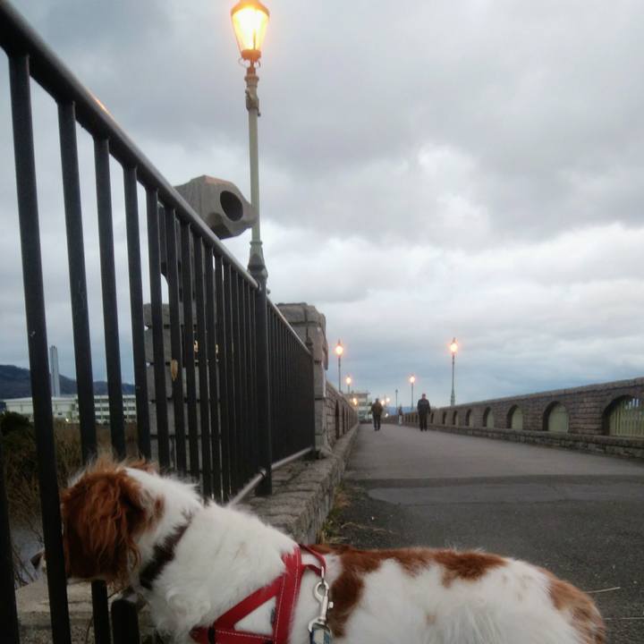 A8739b5e 4d52 429d 9c66 6695bc2933bd 1548462315320