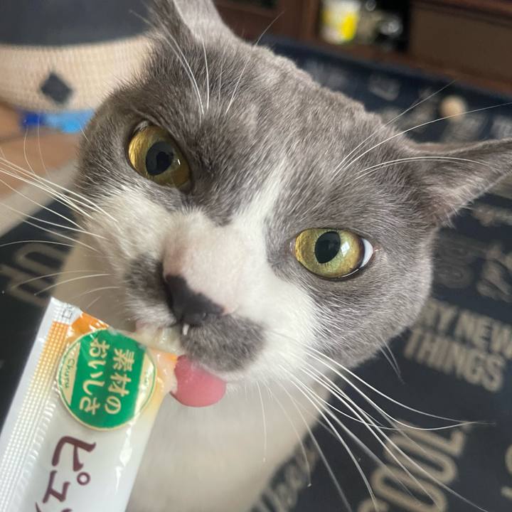 A873b976 cbe6 4e47 986e a160f9fc93f1 1722669722675