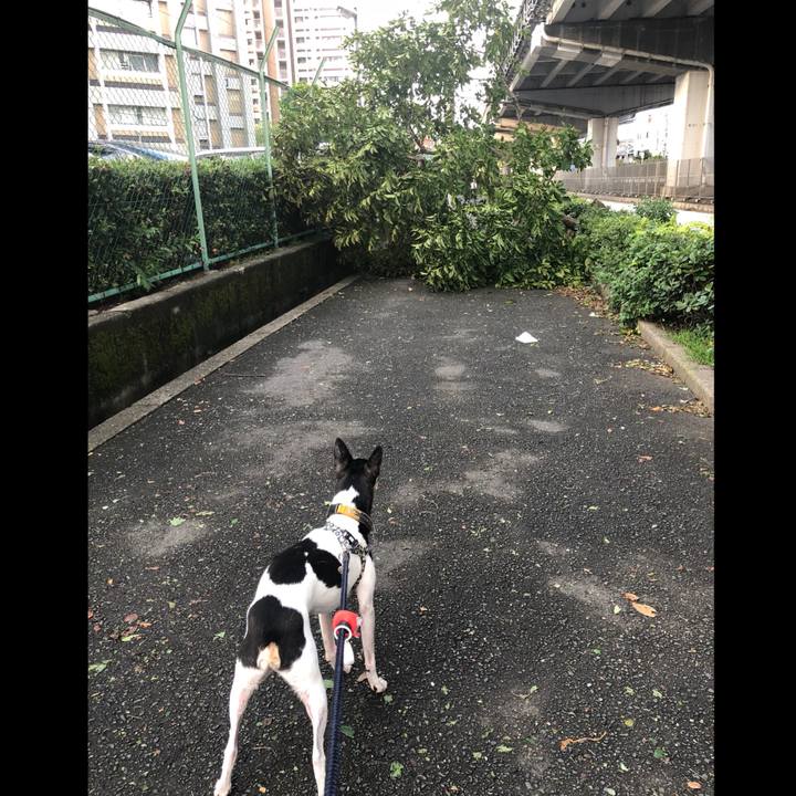 A873c7bc 255b 42a5 aacd 39d2e6c9efc6 1536111337607