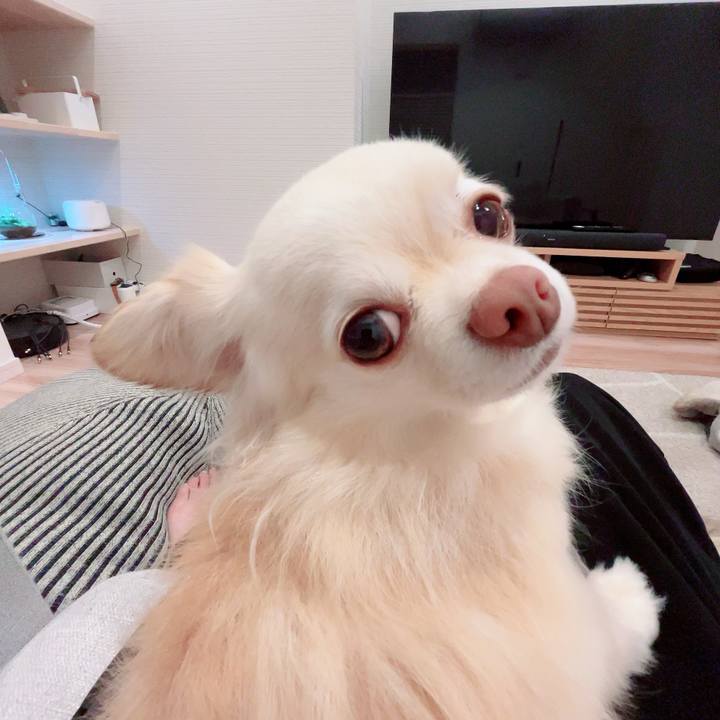 A873c9a8 d840 4f3b 9203 a44eae1d4941 1715087250009