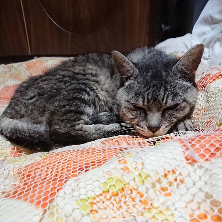 A873ed62 b90a 4a08 93e7 cc7a78065257 1570279644557