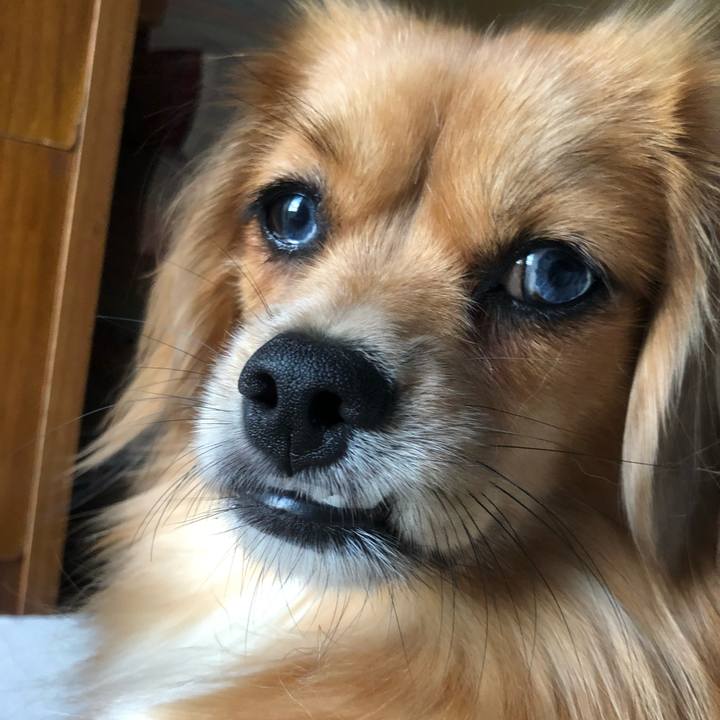 A87423f9 e8a2 4bdd 8ece 72d2874ec2f2 1534547877897