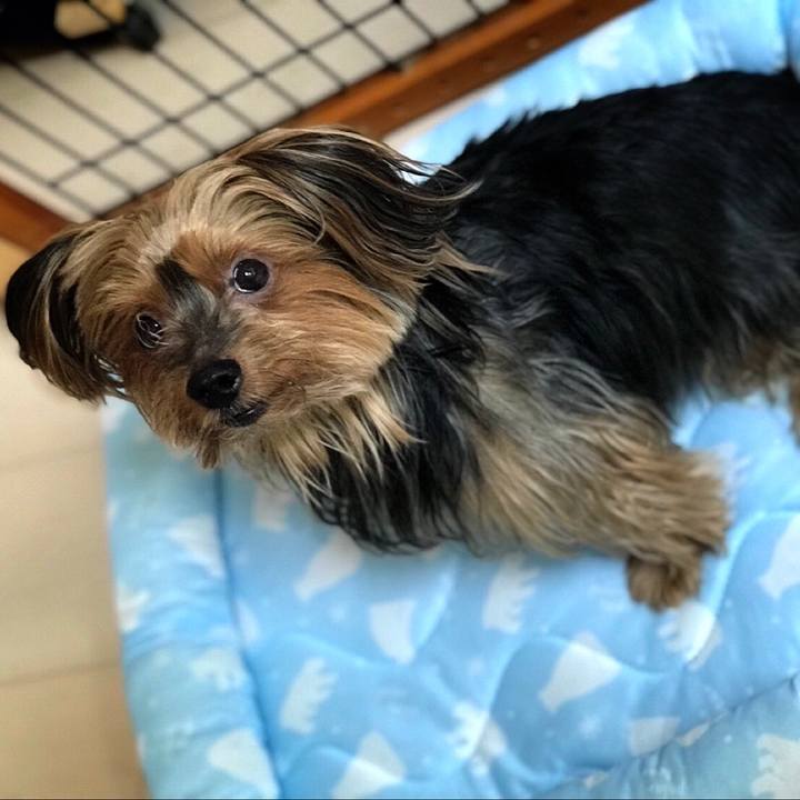 A87459d2 bb2c 48b0 ad99 dc46f2806bad 1531543885306