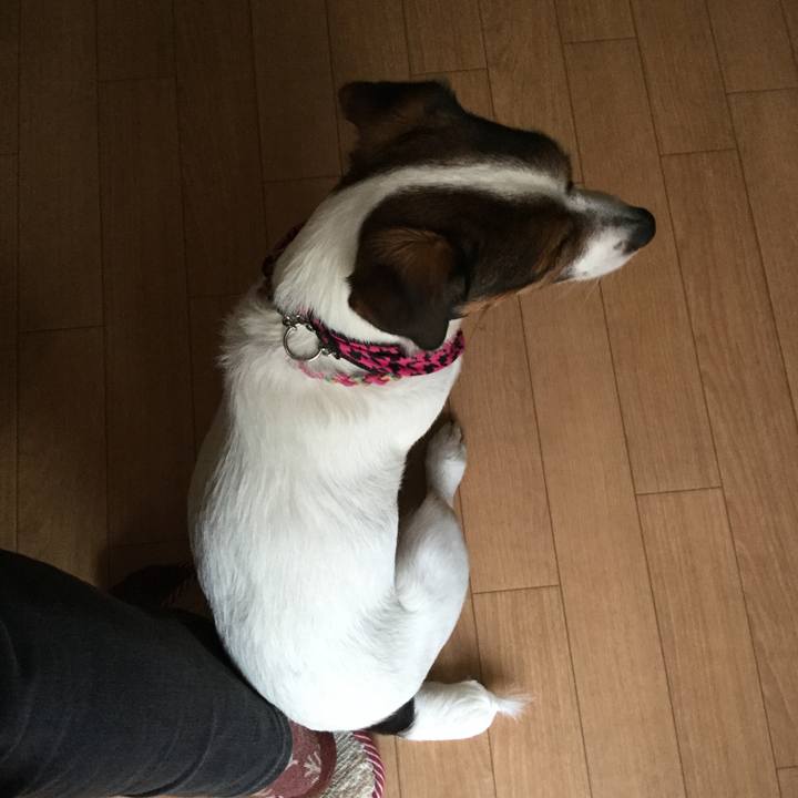 A8748a3d dc96 4299 828a 9bf2c4b7586a 1522045476595