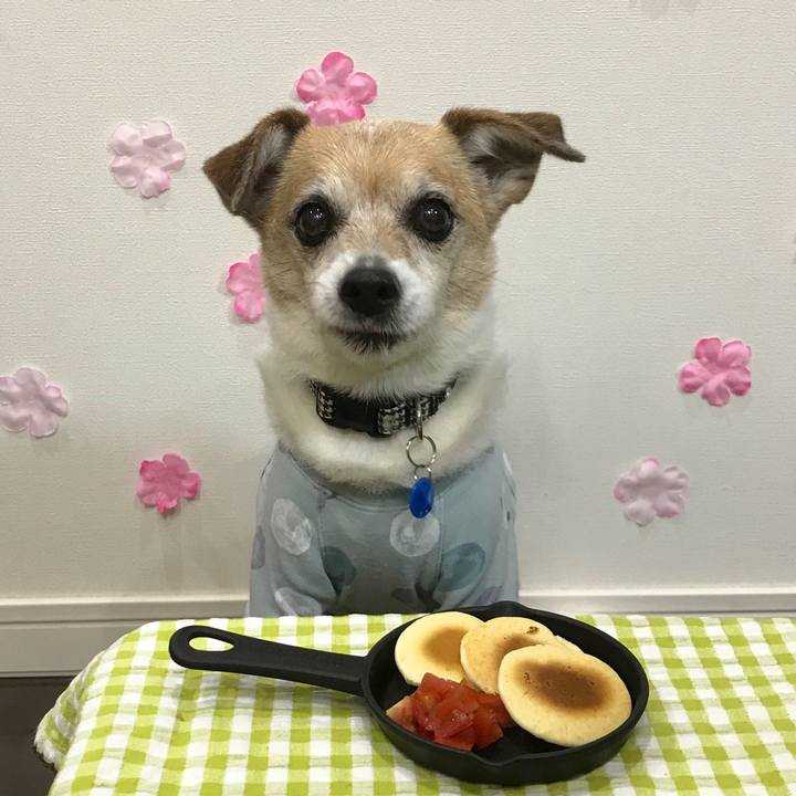 A8749891 80cb 4cbd 85e1 3c900a1be491 1647769244228