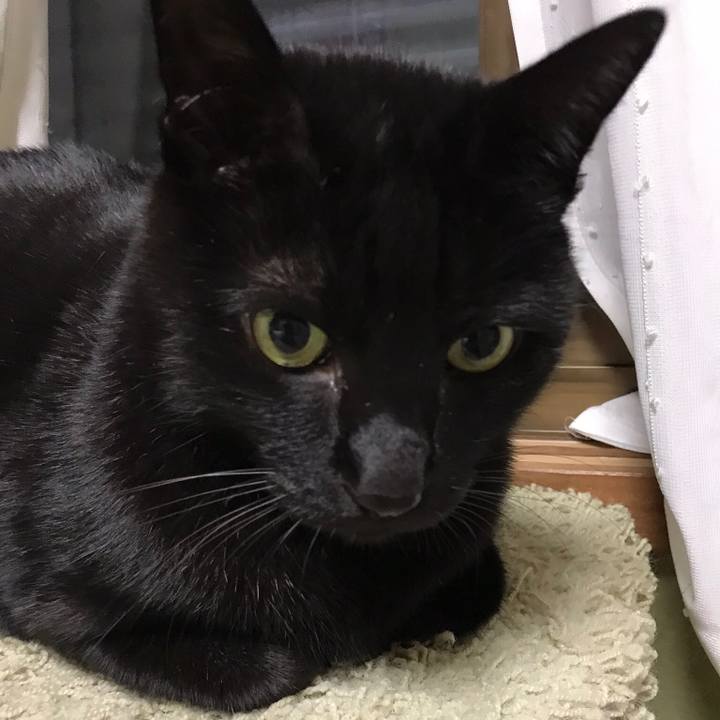 A874ab59 9d9b 4300 af7f 31b97ec59f61 1514598990552