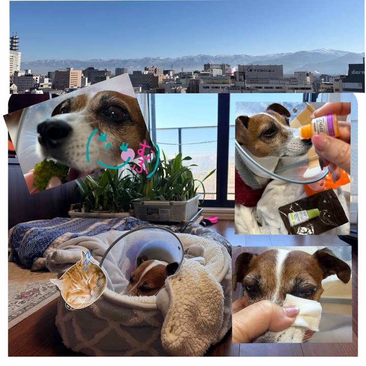 A874b2bd b611 46e4 80b5 045834b57ffb 1765860372344