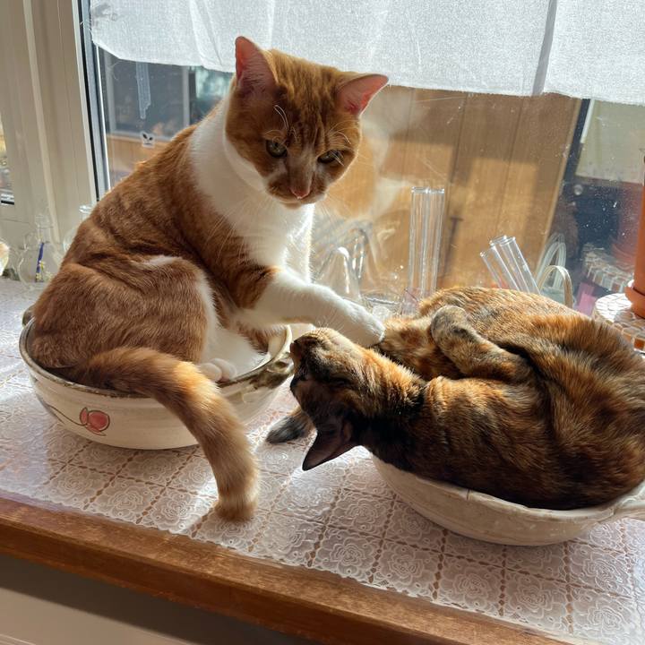 A874bc49 4775 448c 82a1 6090fc6eaee5 1700267638710