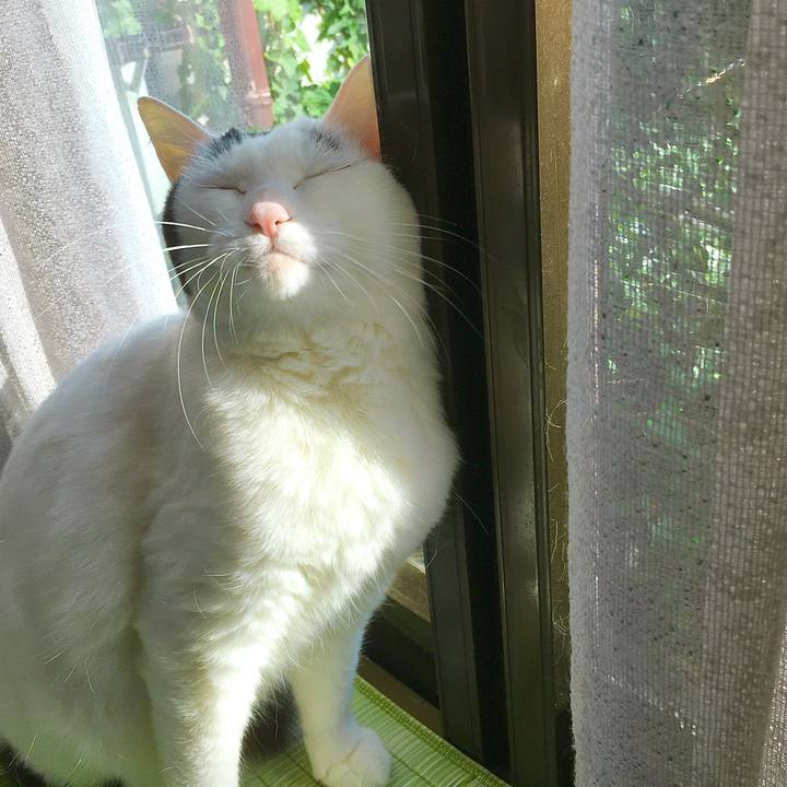 A874cd9d 0f6a 45f2 992e bf229ab1bbaf 1587097543572