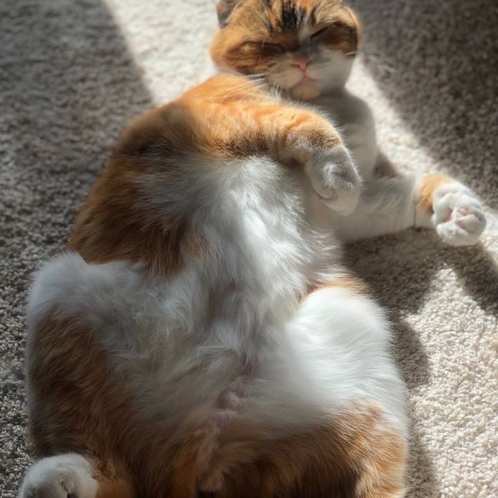 A874f522 a347 4f95 a184 ba3081e2a06c 1610253939845