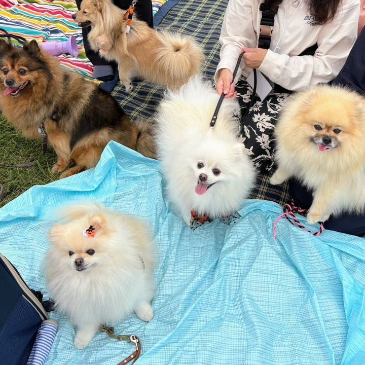 A8751971 9744 43ac a4d2 a20b931e1dad 1760413441984