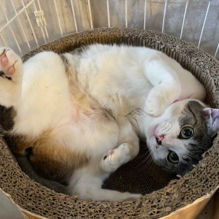 A8751c88 2091 419c b96c 39a57fa3bf2f 1714813595350