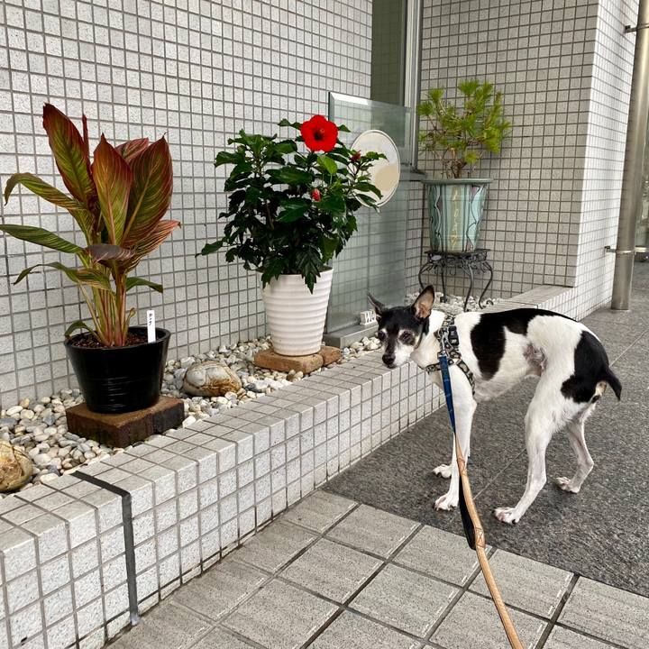 A8753010 2ff9 4954 9796 e5136f63c0ff 1629327497677