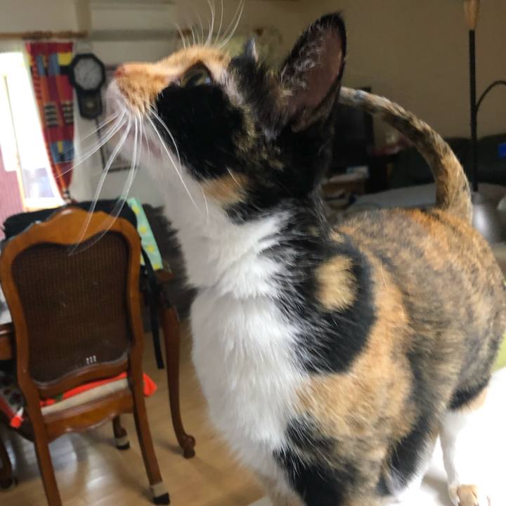 A8757dd4 f4a9 4a40 b3d3 0f6073322c87 1562625718860