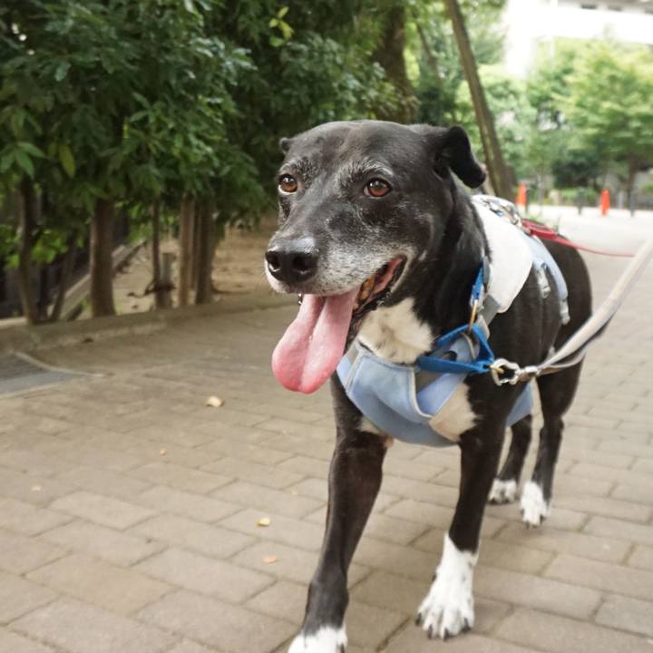 A8759c78 b68a 4864 947c 21da37748124 1756080229344