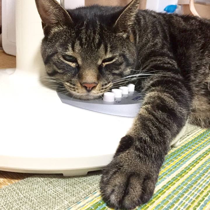 A875a469 98c6 4db1 9ef7 b3826d397e05 1567750117257