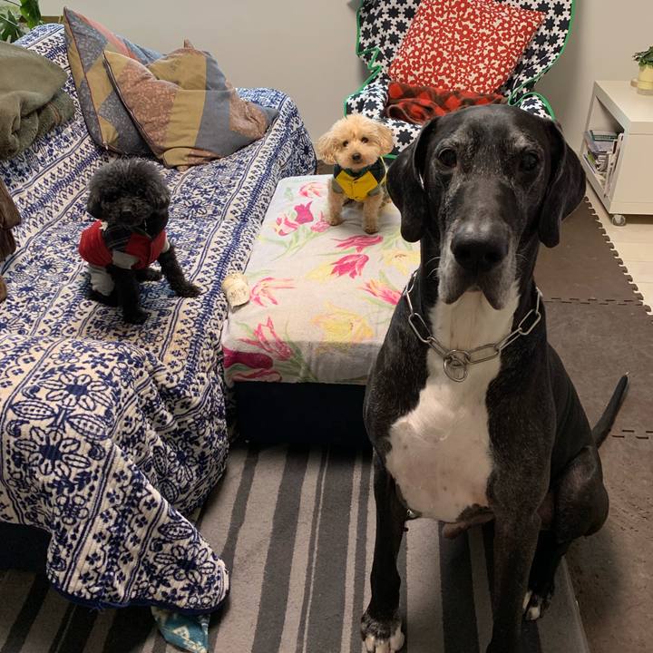 A875ab2d c63c 4aab b3ad 497040431647 1549320361754