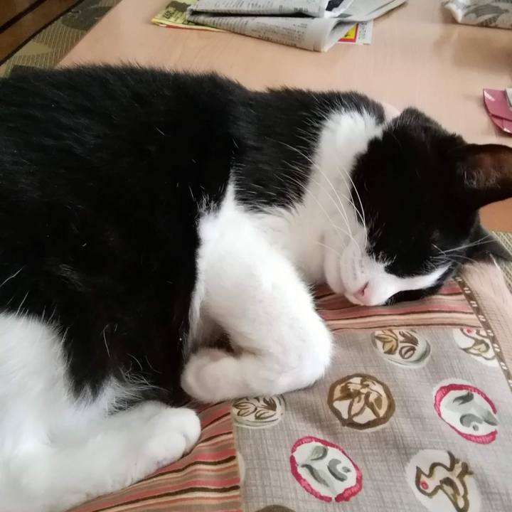 A875f81e 79bb 437f 8628 768bbbcbcff3 1630640832324