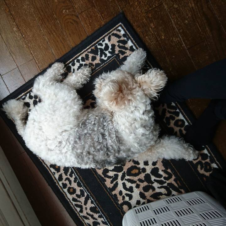 A8761d8b 2377 4290 80c5 89dc719275a3 1525829377431