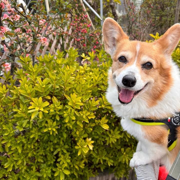 A8764a59 df78 4ed9 9bc1 f68f9cfcc171 1774228775454