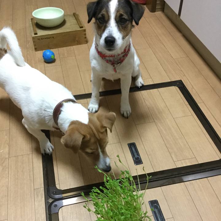 A8764f9d 3c36 4c88 baf3 175c0c51bd13 1518250091815