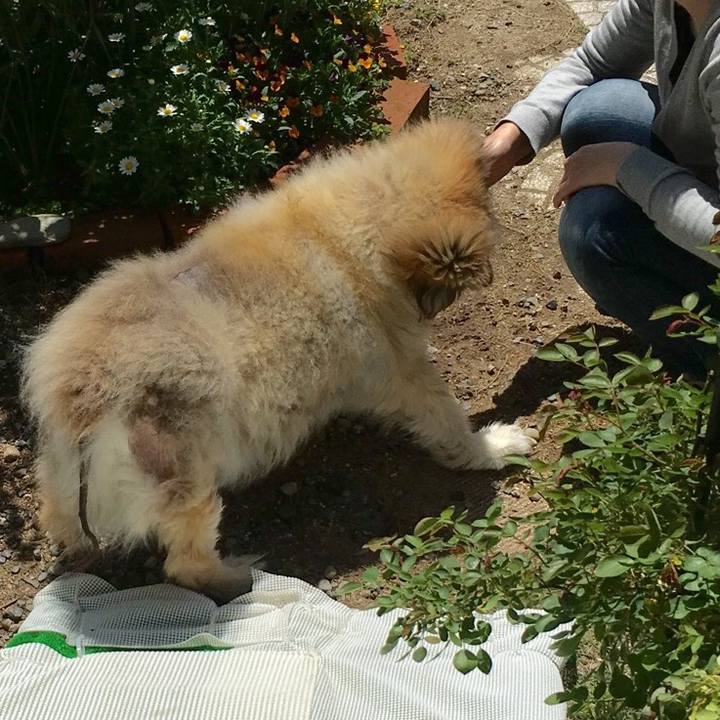 A8767989 6114 4ff0 b044 72a93d9e545d 1556867881897