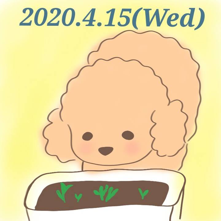 A87693e5 8d5c 4bb8 be4a 7c37c92787c8 1587026461606
