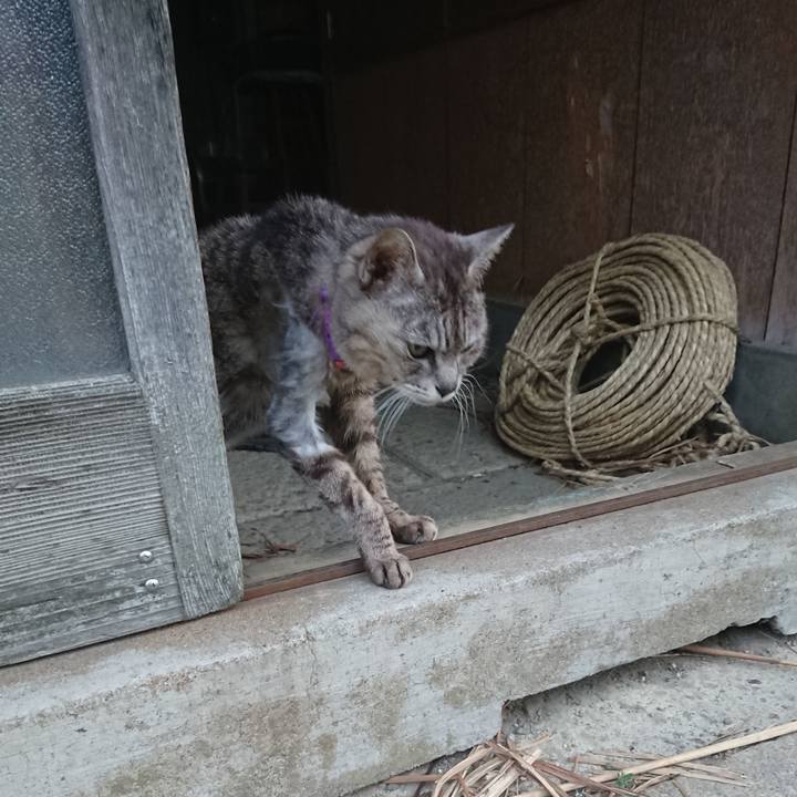 A876ad17 74be 45a2 bb36 3cc805b5007a 1591387184097