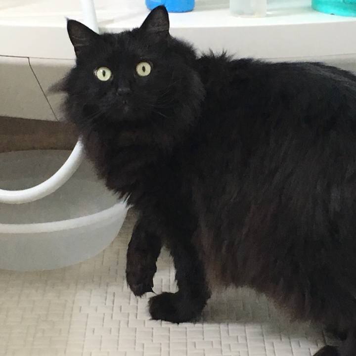 A876ceaf 8448 408a 9959 cfc4e2926b1c 1550548335736