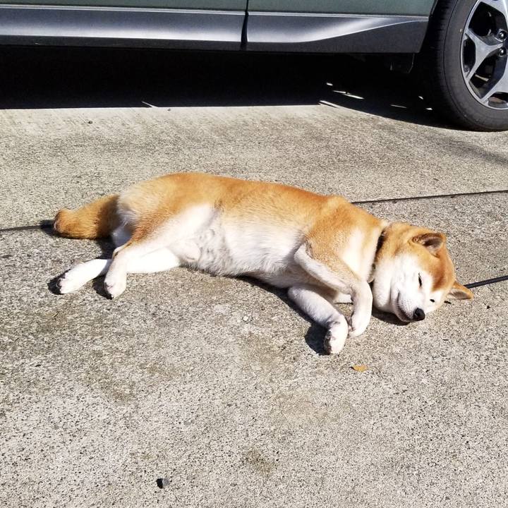 A876dcfe 3a58 455a aeba 591a75c0c651 1605146683428