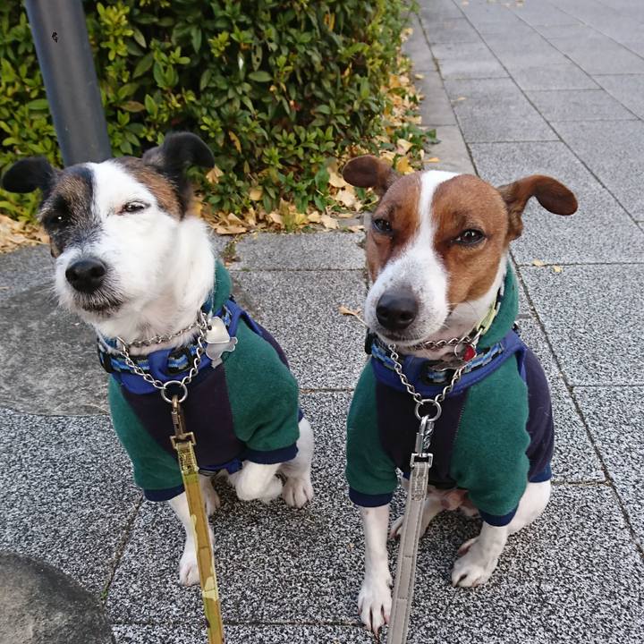 A8772630 fd31 4f01 9edd d131ca458589 1609627403085