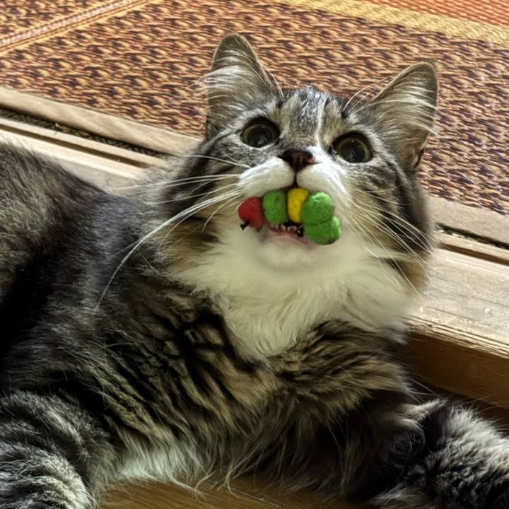 A8773b99 1470 473f 920a 64a253ac5ddf 1753363137320