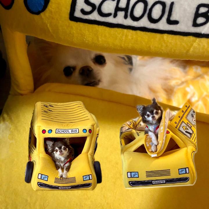 A877f5c5 133c 4f29 9923 e27ba034dc38 1619873784087