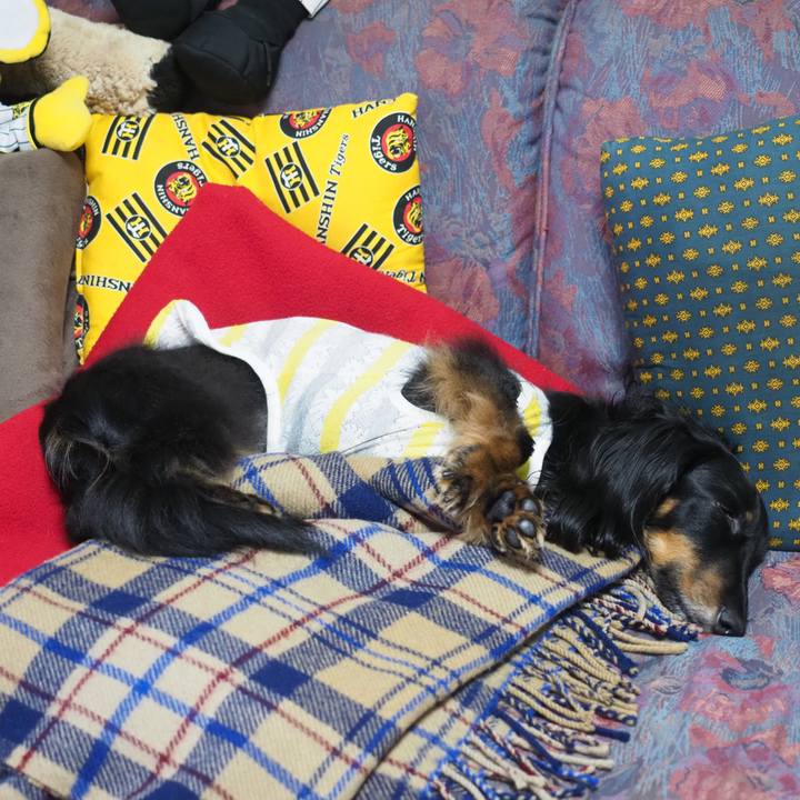 A8782973 6a7f 4133 8a82 507d4495bec8 1625709093237