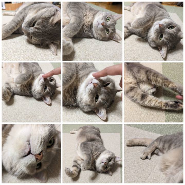 A87870dd a681 4e19 a97c 76e9a0975a2c 1690780779030