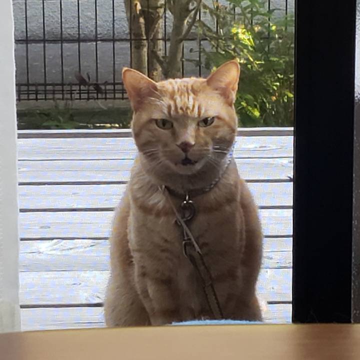 A87877ab ee62 4894 a5ec fa71877a3a1e 1716961428421