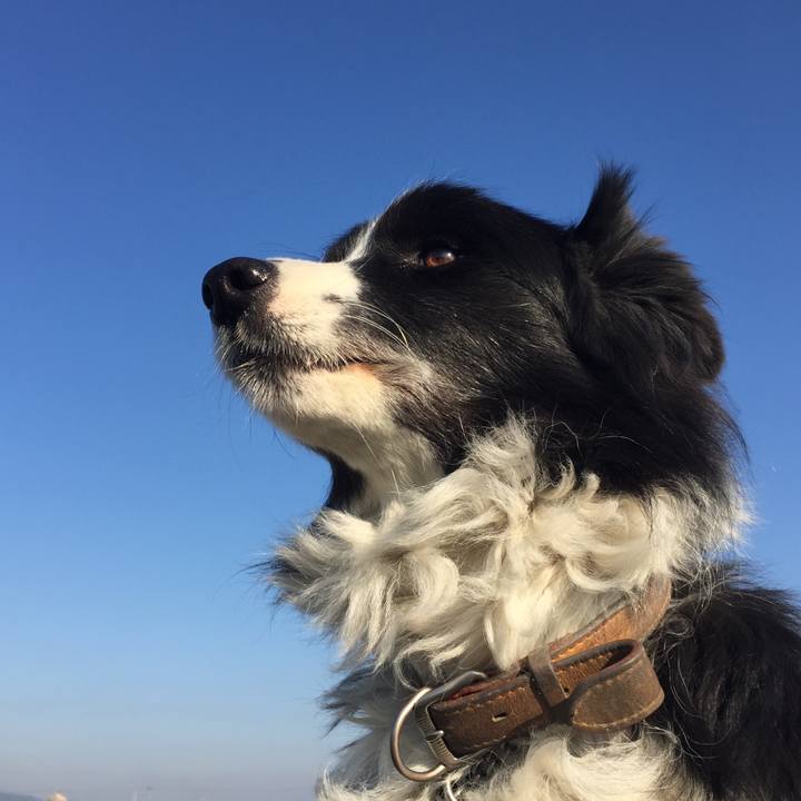 A878c743 423c 4964 9936 40ed0752c10e 1547857591386