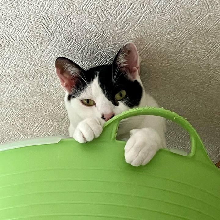 A878f082 070e 4889 bab0 b9114c7427ce 1759672423768