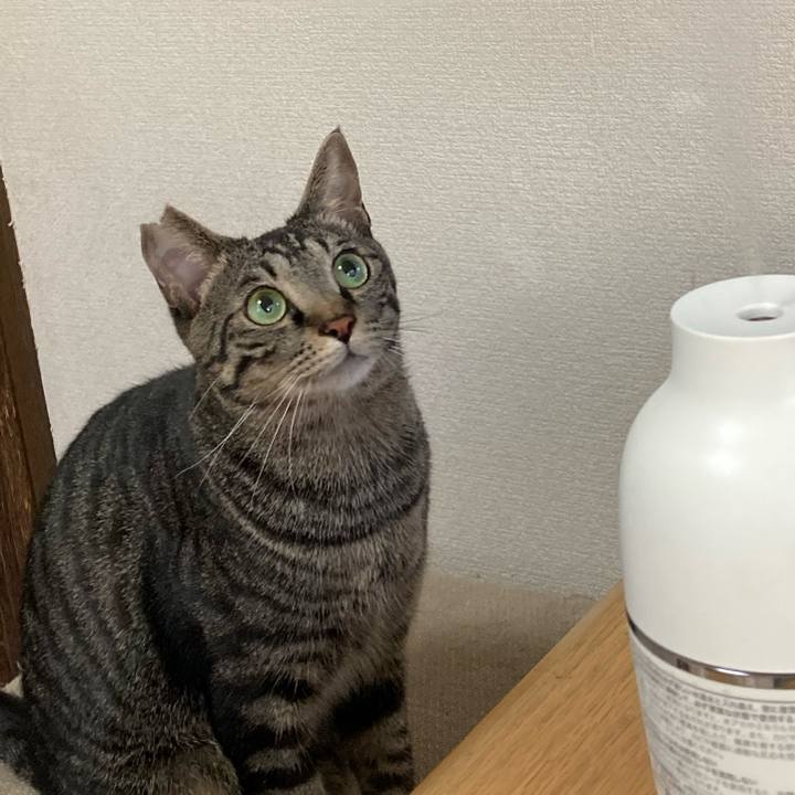 A87914b2 f5a9 476f 9afc fce647d778a9 1642164394499