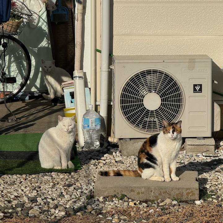 A879410b e3d8 4958 8a0b 3ecb083fe119 1767840594667