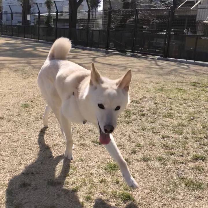 A87942b2 9335 498d 9b9c e6ec576f0ddc 1519976000432