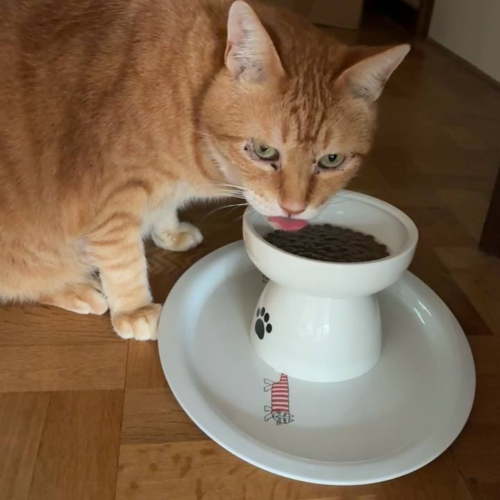 A8794cfc 1689 43b8 ac31 f1426c861531 1752964643232