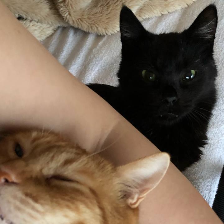 A879a15a 2f48 4882 83cc 5c62101924cb 1617397822796