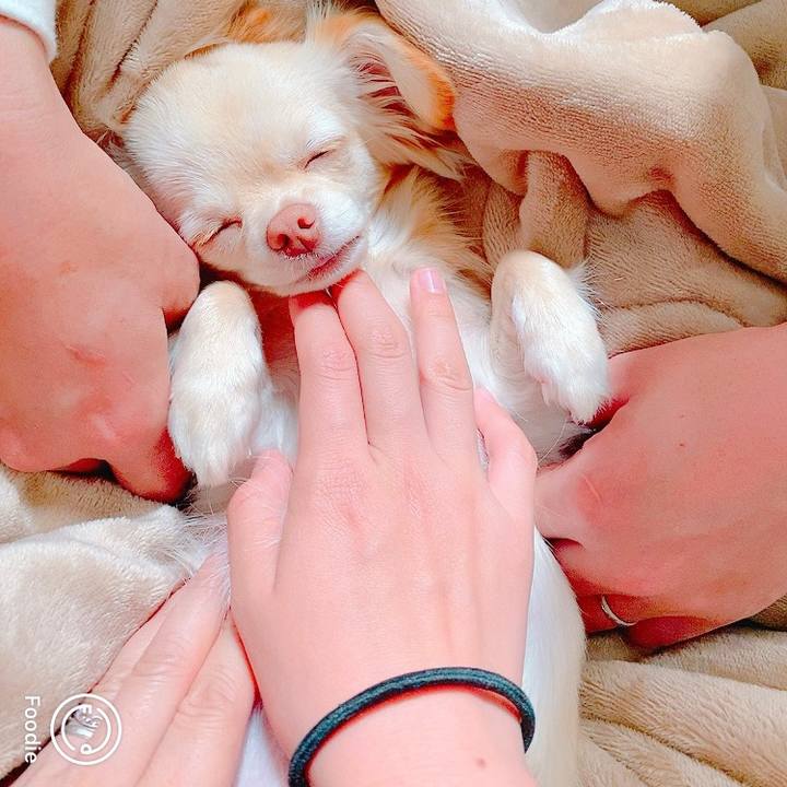 A879a7a5 a9e2 48f0 9d9b bd4306501162 1620094243523