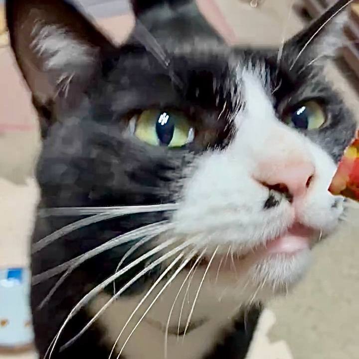 A87a8562 203f 45d8 9b8d 6fbd23291f75 1761100903520