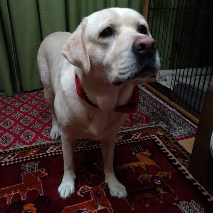 A87a93ed 64f7 4e08 bf59 a0ca67d52c18 1602394065735