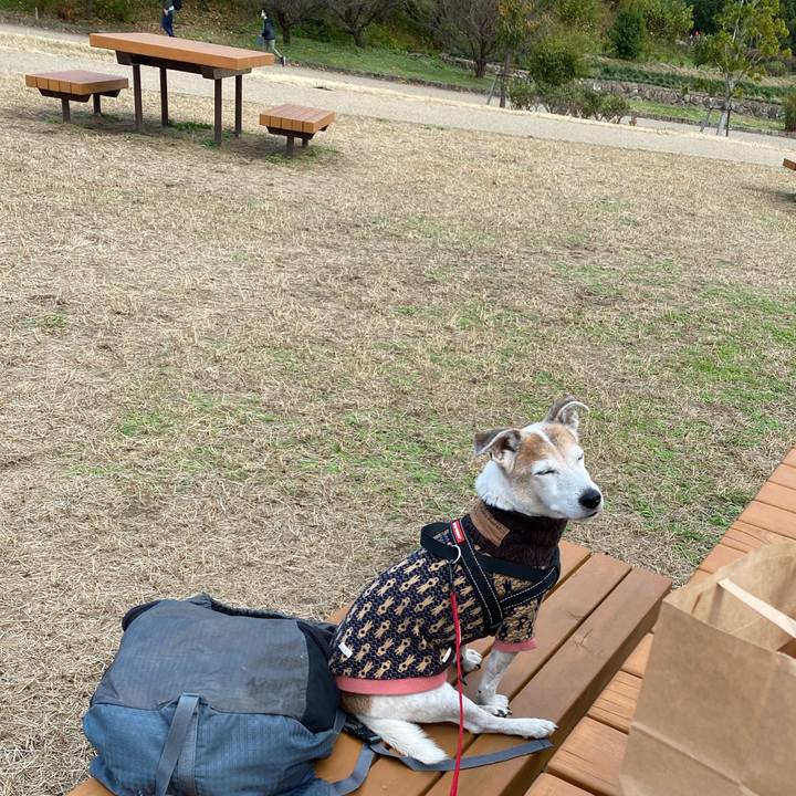 A87ab9c4 8e6d 4576 8c83 fd166d40d414 1606115974123