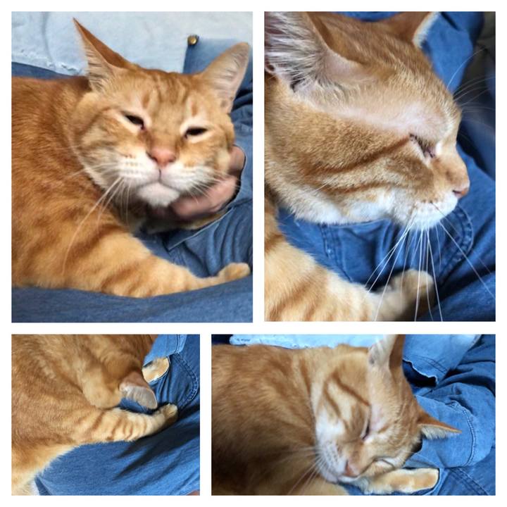 A87adb85 ad03 4028 9f2f 1818cd07f88f 1570226907697