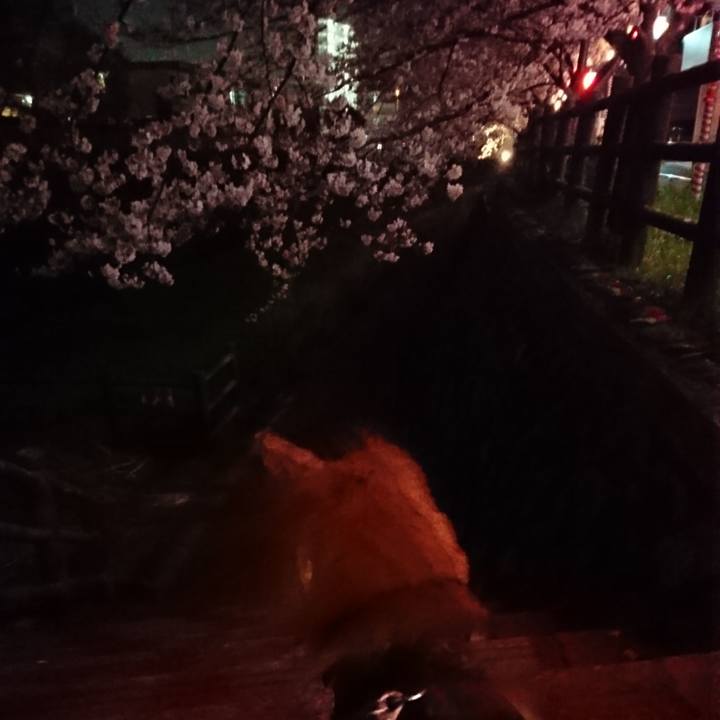 A87ae0d7 1478 4e10 96e7 57ee9cf2e784 1522062843157