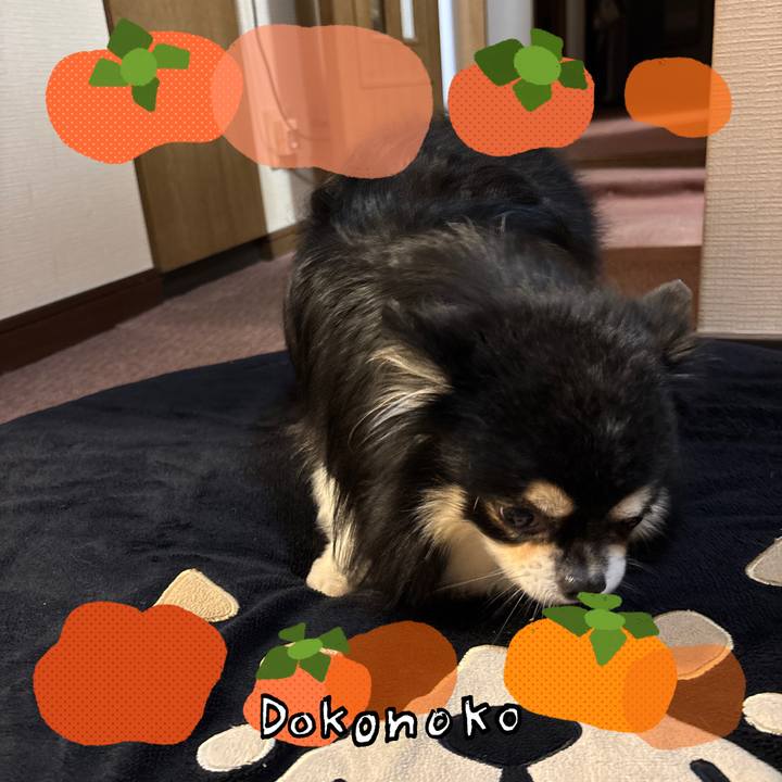 A87aece4 b7c3 49e9 b089 f6fcb6f6b304 1761220460756